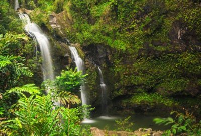 Road to Hana, Black Sand Beach, Waterfalls & Turtles Tour from Maui, Hawaii