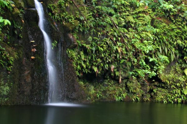 Top Waterfalls To Visit & Experience | Maui Hawaii