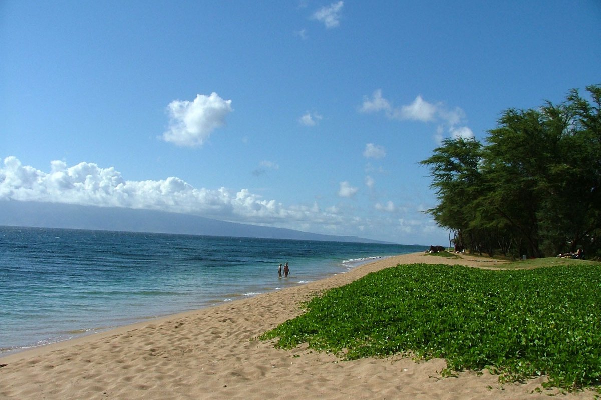 Kaanapali Beach Information Photos More   Kaanapali Beach3 1200 800 85 S C1 