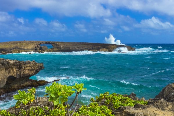 Top 5 Things To Do in North Shore Oahu