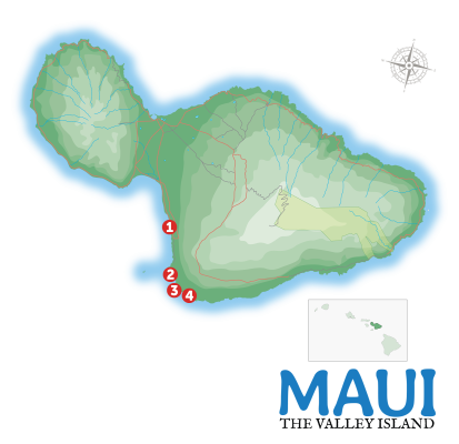 Day #4 - South Maui Image
