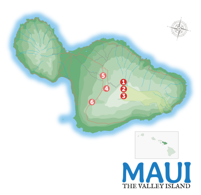 Day #3 - Haleakala & Upcountry Maui Image