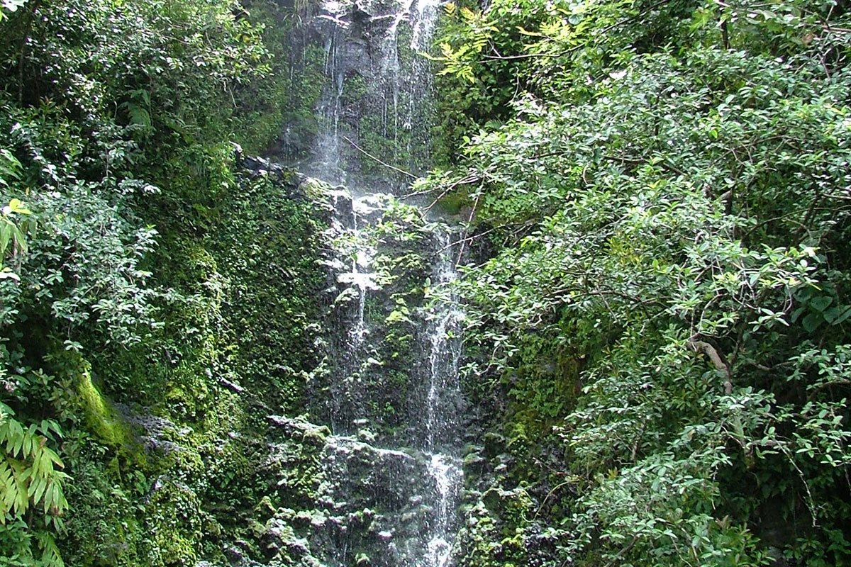 Paihi Falls Information, Photos & More | Maui Hawaii