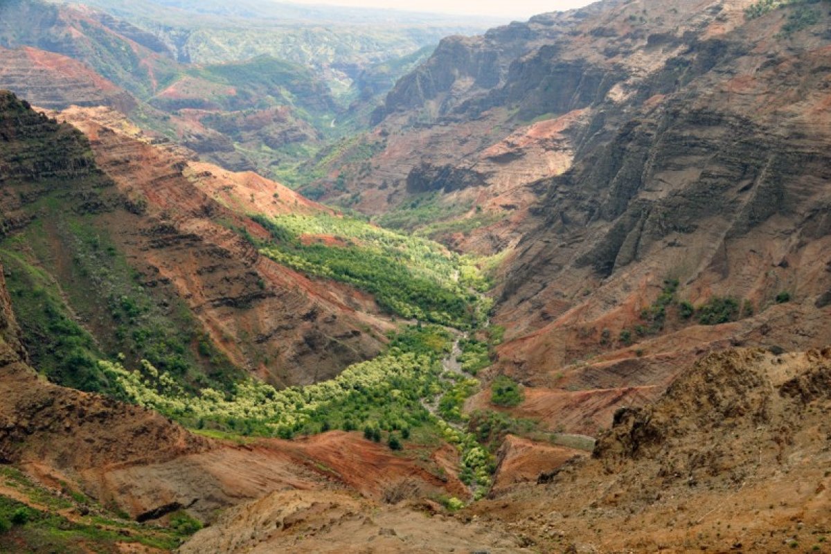 Puu Hinahina Lookout Information, Photos & More