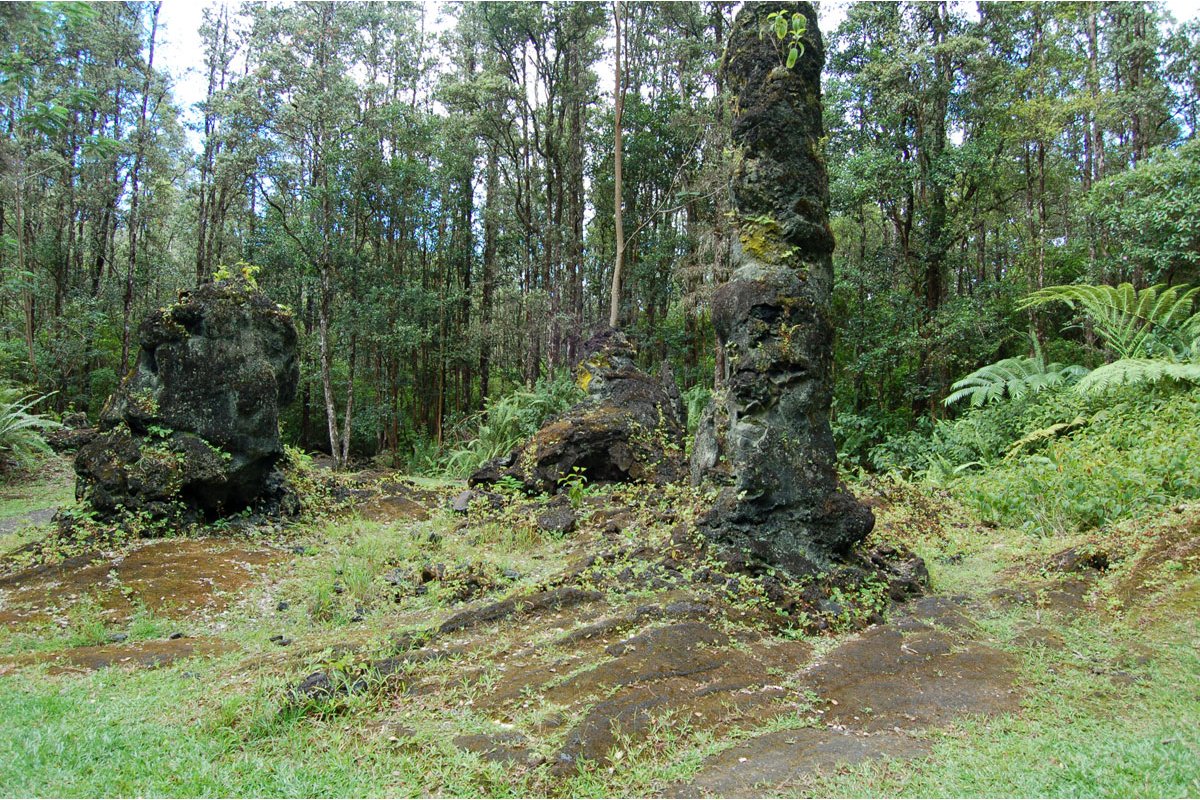 Lava Tree State Park Information, Photos & More