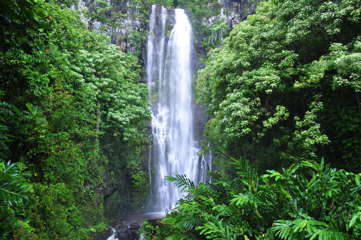 Don't forget to stop and check out the many gorgeous waterfalls along the way. This is Wailua Falls.