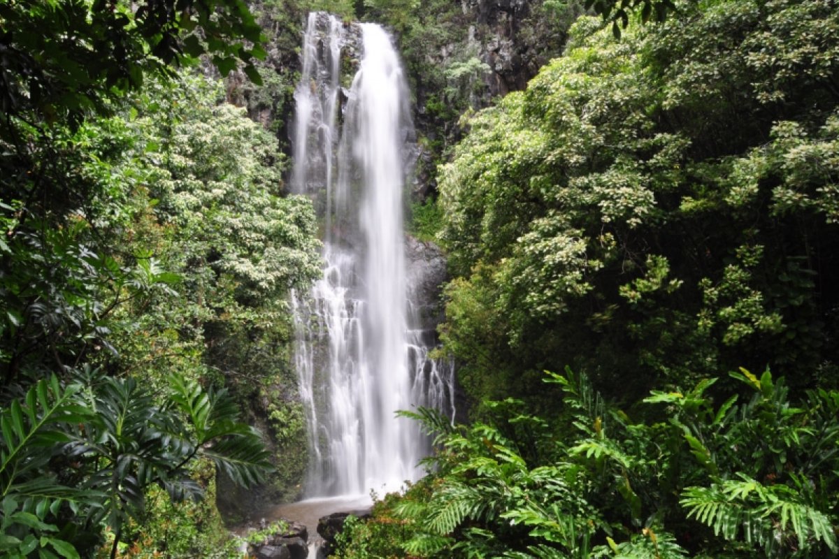 maui waterfall hike tour