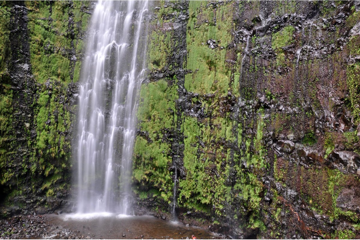 Waimoku Falls Information, Photos & More | Maui Hawaii