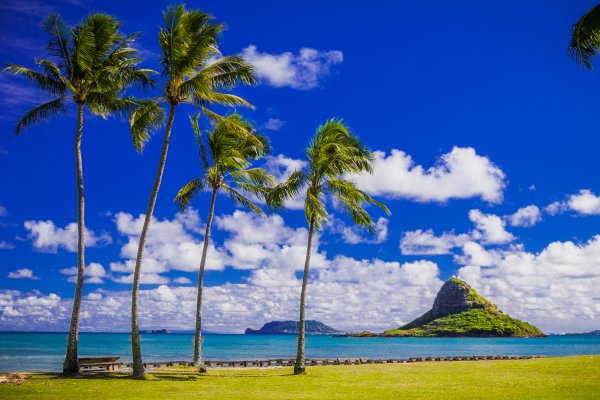 The Ali`i o Oahu – North Shore News