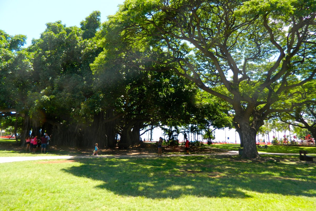Kapiolani Park Information, Photos & More Oahu Hawaii