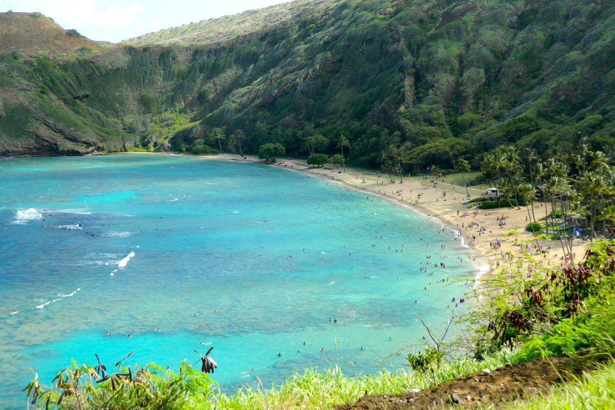 Hanauma Bay Nature Preserve Information, Photos & More | Oahu Hawaii