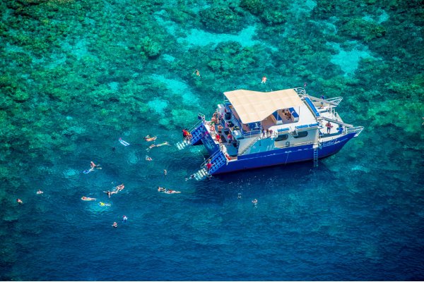 Ocean & Water Tours To Do  Activities on Big Island Hawaii