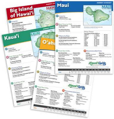 FREE Hawaii Summary Guidesheets Image