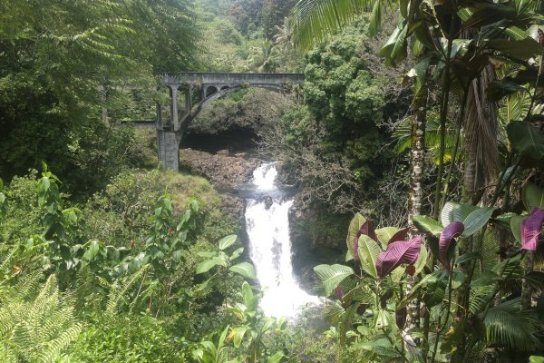 Heavenly Hamakua Tour Tile Image