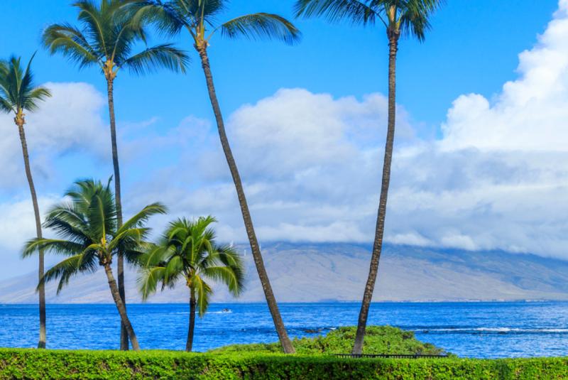 When to Visit Maui