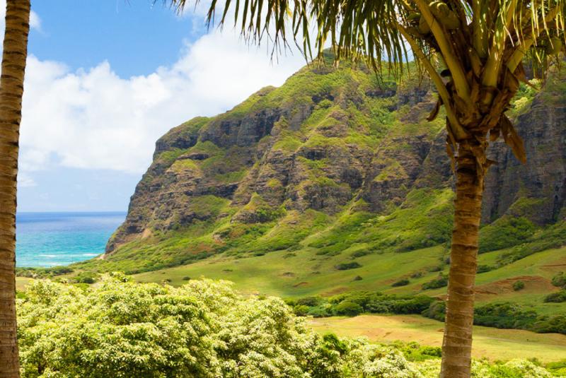 Things to See on Oahu