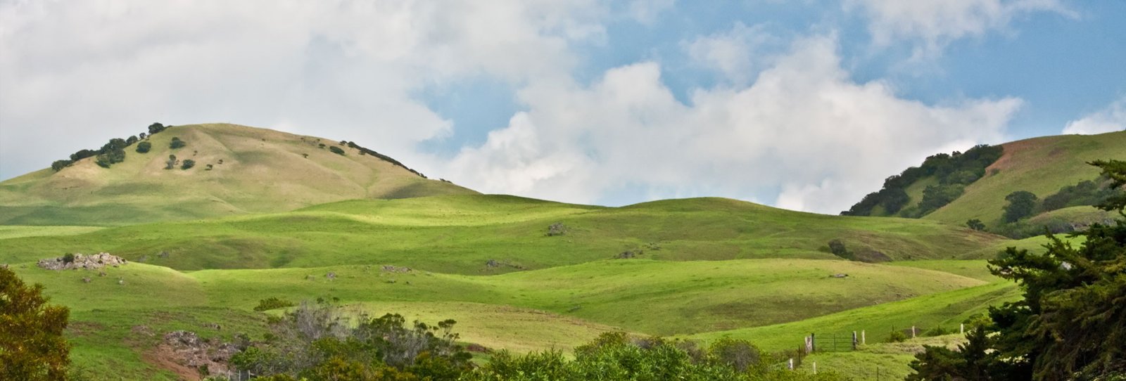 Hills near Waimea (Kamuela) Town