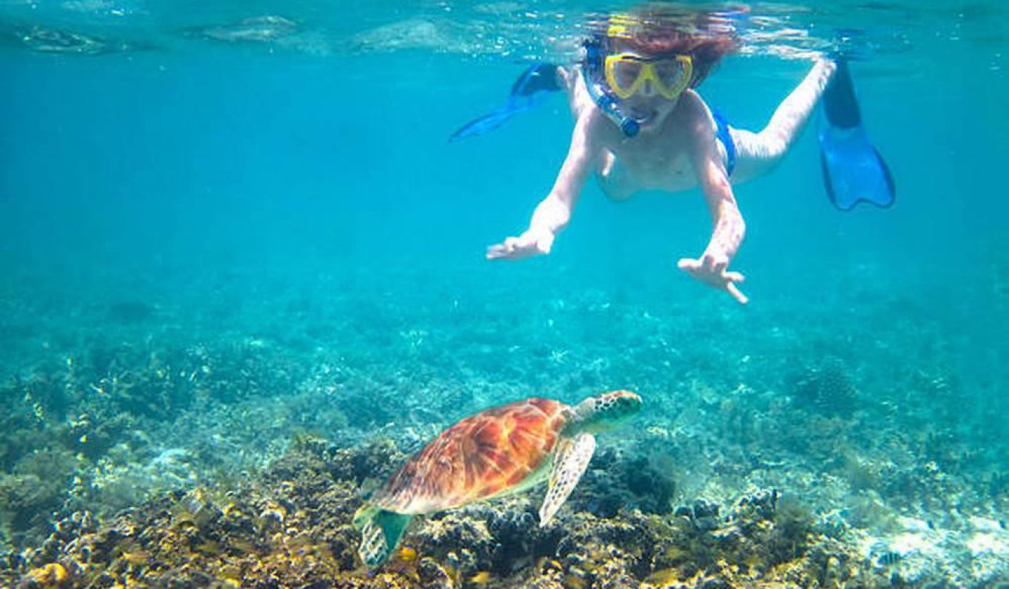 Hawaii is a great place for the kids to snorkel and explore
