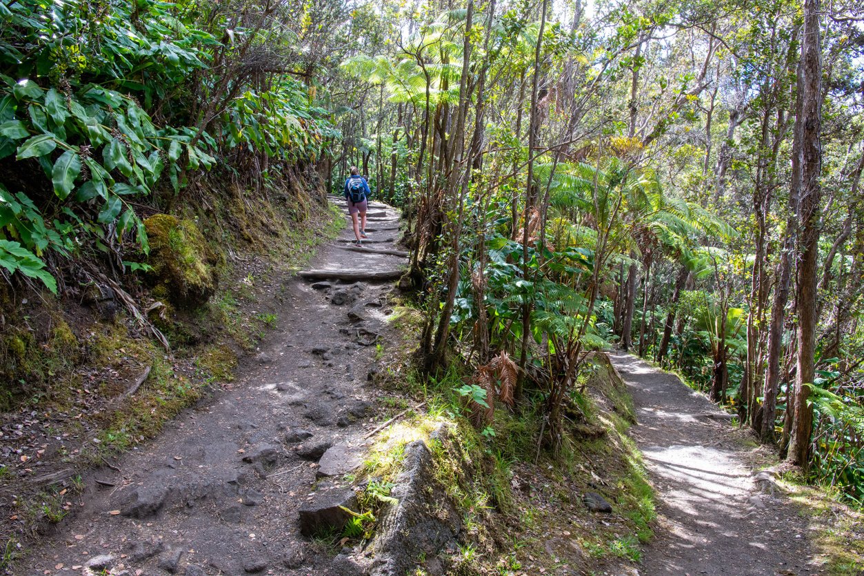 Kilauea Iki Trail - Hawaii Volcanoes National Park