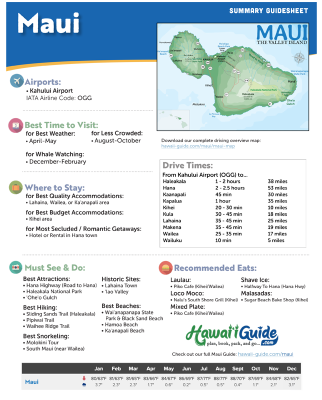 FREE Maui Summary Guidesheet Image