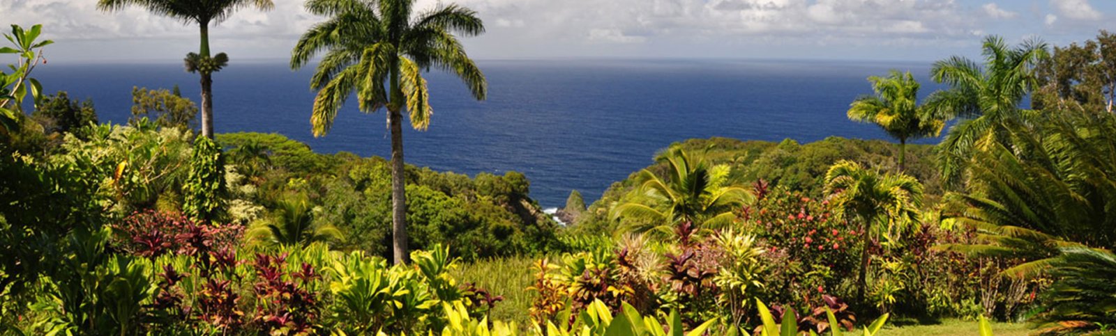 Garden of Eden - East Maui