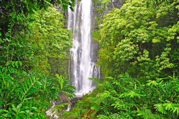 Maui Waterfalls Guide Tile Image