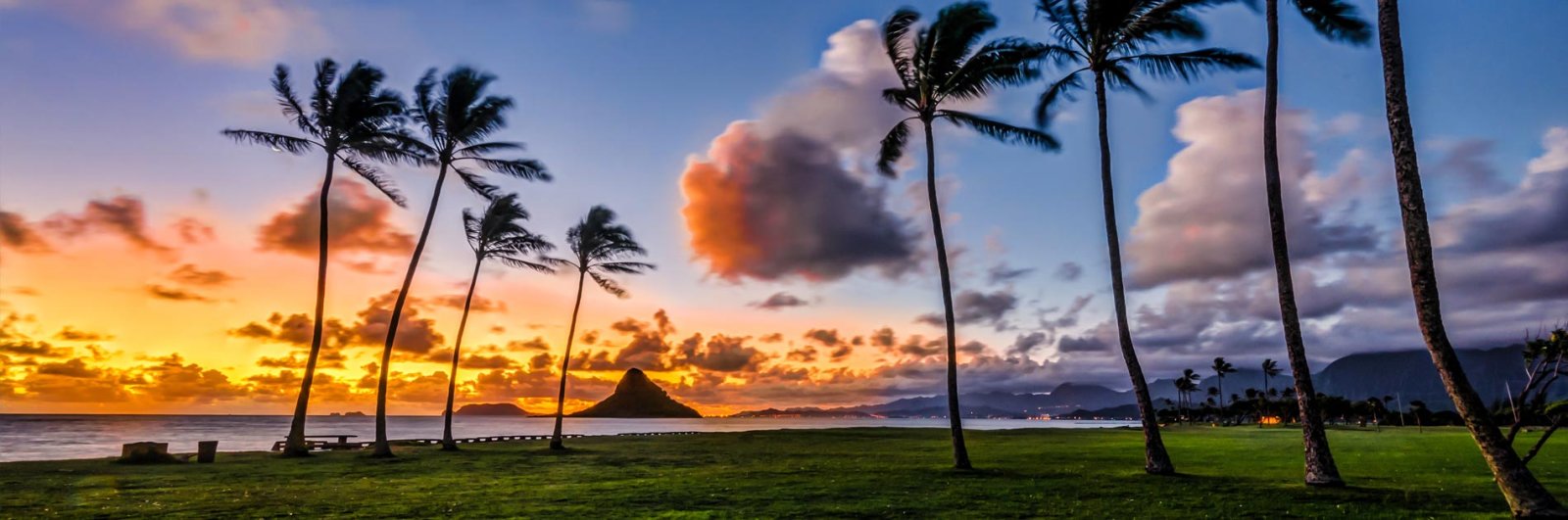 Oahu is beautiful all year long.