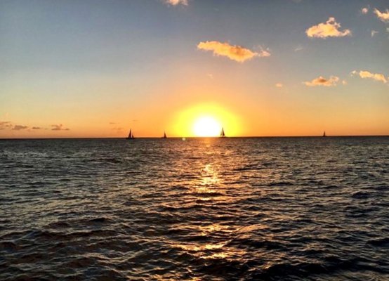 Waikiki Glass Bottom Boat Sunset Cruise Image