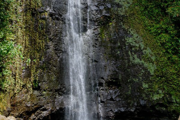 Top Attractions To See & Experience | Oahu Hawaii