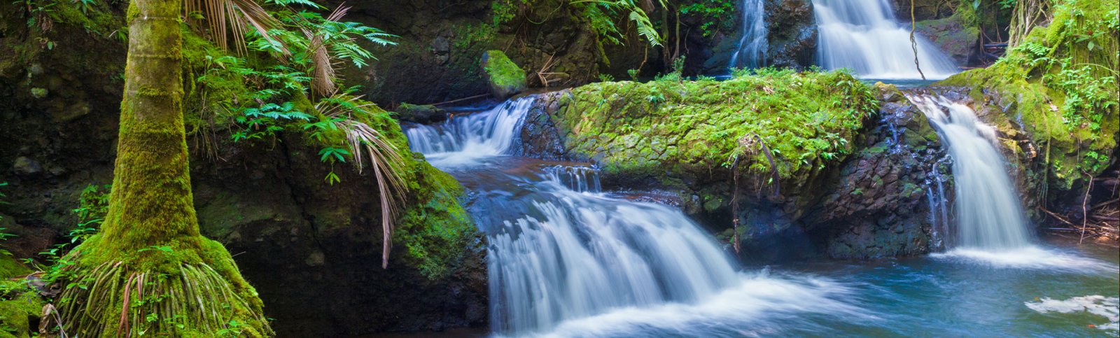 Onomea Falls on the Big Island