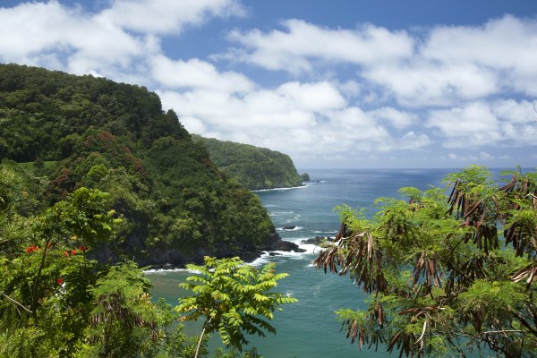 Maui Road to Hana Tours Tile Image