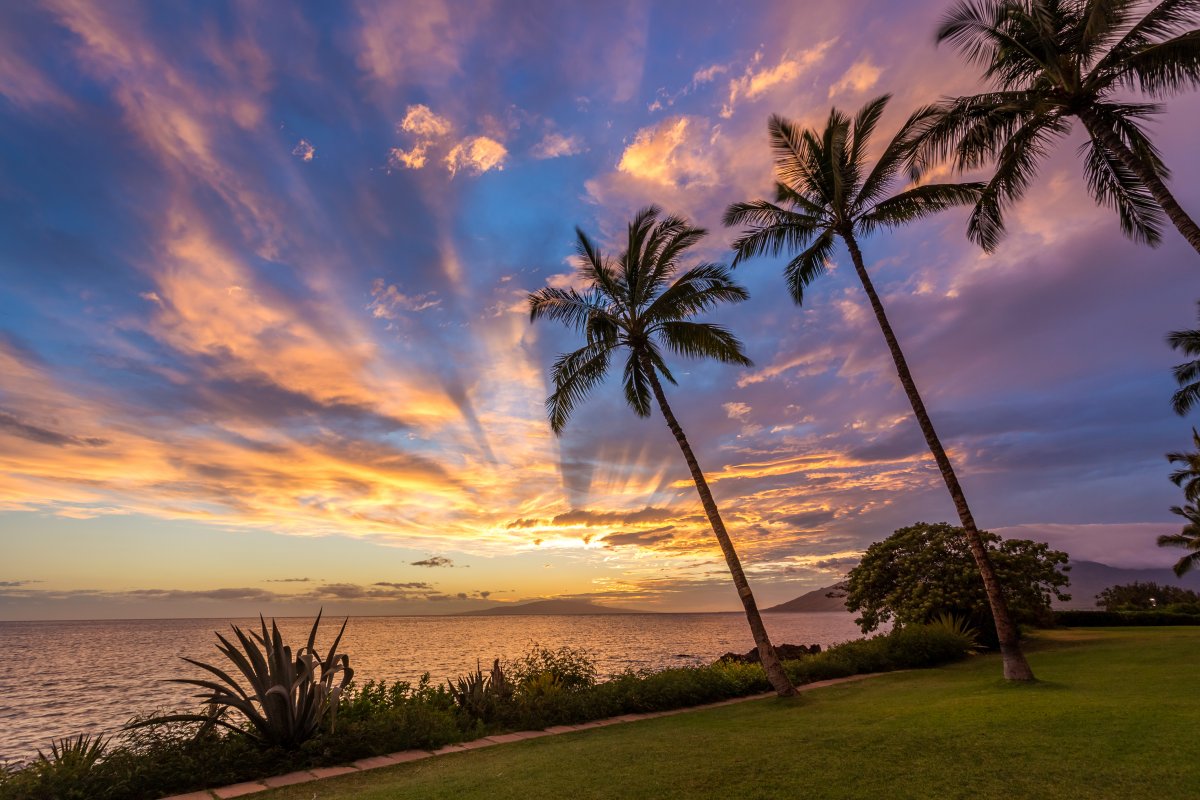 Top 5 Things to Do in Kihei Maui Maui Hawaii