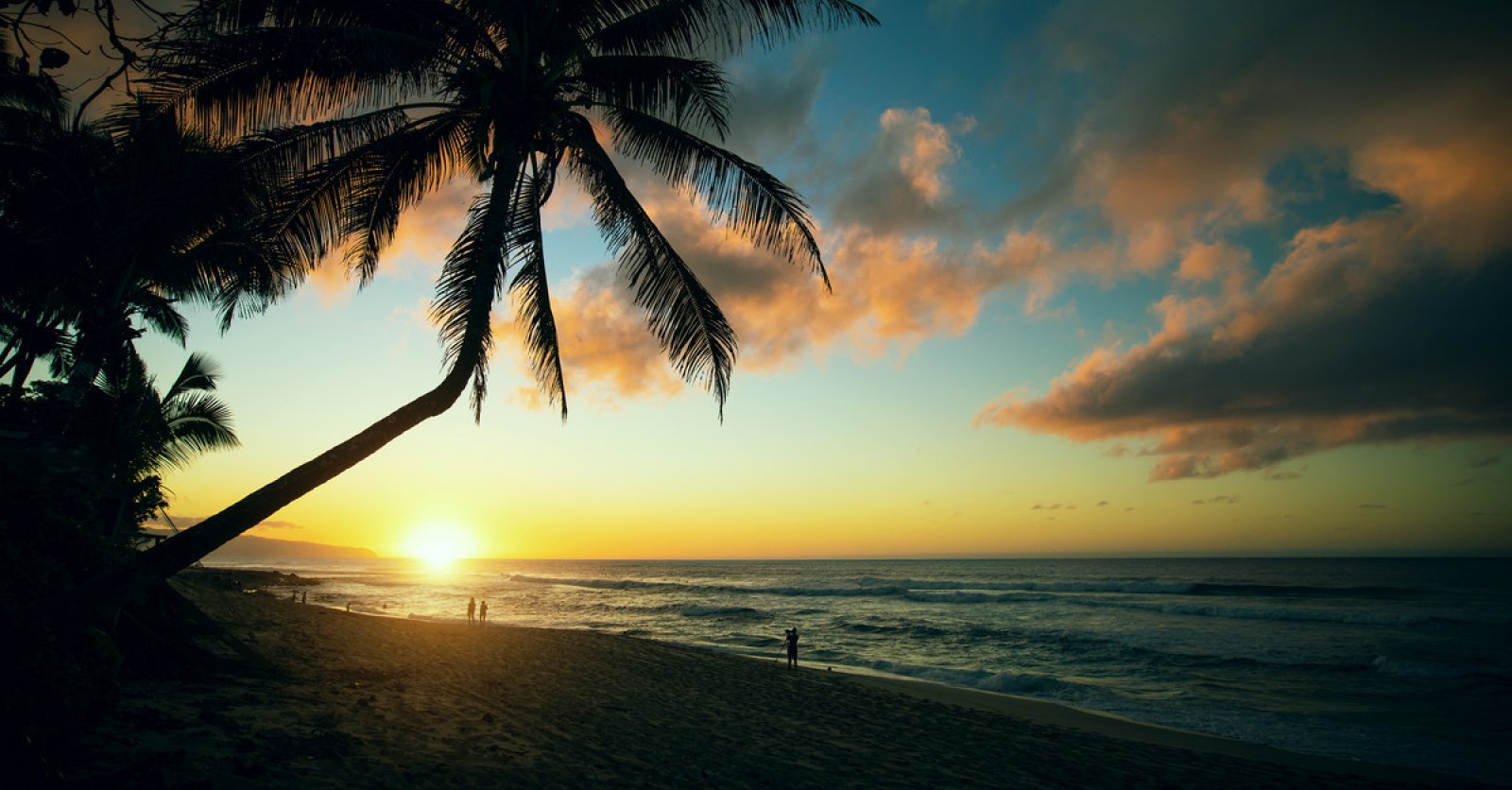 Sunset Beach Information, Activities & Amenities | Oahu Hawaii