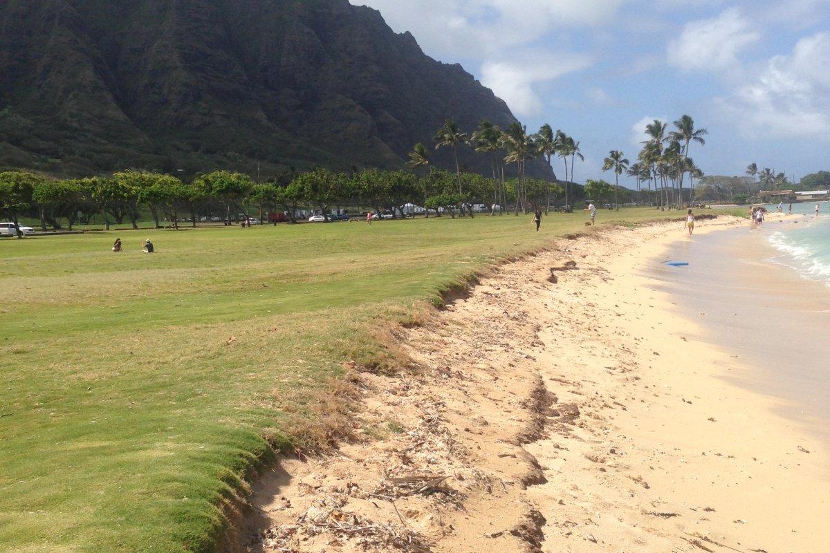 are dogs allowed at kualoa beach park