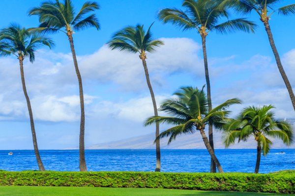 Activities, Sights, Tours & More To Do | Maui Hawaii