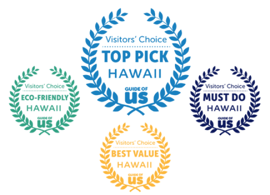 award travel hawaii